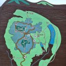 함안 명관리 공룡발자국 | 《경남 함안》 걸으면 팔자가 펴인다는 <백이산> 아름다운 솔숲 길과 고룡발자국