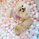 민지푸드 이미지
