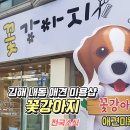 내동애견 이미지
