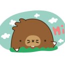 어서오시개냥 애견펜션 이미지