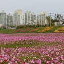 프리마루체 건너편 이미지