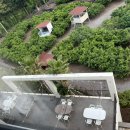 호텔 스테이인터뷰 제주 이미지