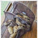 하늘낚시공원낚시터 이미지