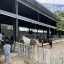 차다목장 이미지