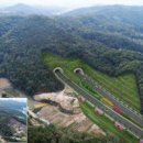 진행정사 이미지