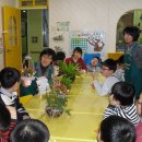 해인어린이집 이미지