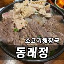 정 | 연산동밥집 동래정 소고기해장국 점심 맛집 부산해장국 후기