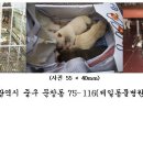 유천지구대 Daum카페