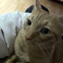 대명프라자 이미지