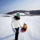 엘가팬션 이미지