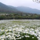 나절로미술관 이미지