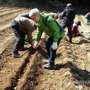 아촌경로당 연합뉴스