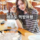 제주도 먹방여행, 제주도민들이 찾는 제주시 먹거리 1탄