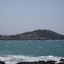 도들 Daum카페