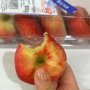 6796 | 말레이시아 쿠알라룸푸르 여행 KLCC 수리아몰 Isetan 납작복숭아 파는 곳 가격 후기