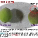 형곡로16길-3 이미지