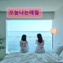 오늘나는애월 | 제주도 애월 펜션 숙소 게하 오늘나는애월 제주도 애월 오늘나는애월, 바다를 품다