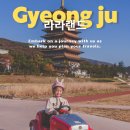 라라랜드 | 경주 아이랑 어디 갈지 고민 경주라라랜드 솔직 후기