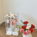 타티아르 이미지