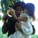 선옥농장 이미지