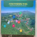 서귀포자연휴양림2 이미지