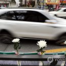 세남매 이미지