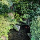 백제령 삼계탕 이미지