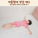 한스갤러리 휴비스 듀라론 여름침대 냉감 패드 후기