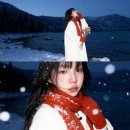 데굴데굴 이미지