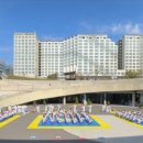 멘토 태권도 이미지