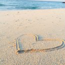 (주)호반산업 | (주)호반산업 연봉 복지 워라밸 채용 요약