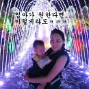 하코플라워 이미지