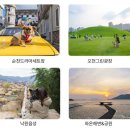 2025 순천 댕댕트레인 이미지