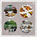 도그매니저 이미지