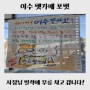 여수포펫 | [여수 카페] 포펫｜오픈런 필수! 선착순 댕쫀쿠와 견생샷 남기는 애견카페