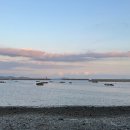 삼동면 물건1 | 연수원 직원들의 남해 워크샵 [섬이정원, 물건방조어부림, 보리암]