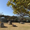 (주)브이아이앰 | 태안 대형 베이커리 카페 아기랑 몽산포제빵소 주말에 다녀 온 후기