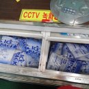 메이저 실내야구연습장