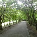 호남중학교 이미지