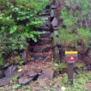 옥화자연휴양림 이미지