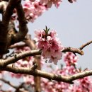 소야경로당 이미지