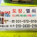 양지수선 이미지