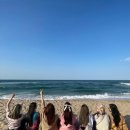 청춘 이미지