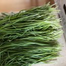 오이 소박이 이미지