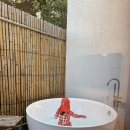 신엄안길B 이미지