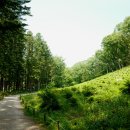 숲에향기 이미지