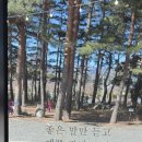 보림밥 정식 뜰 | 속초 온천뜰 리뷰｜척산온천 맞은편 한정식·곤드레 돌솥밥 맛집