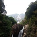 바이수 이미지
