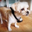 품 동물병원 이미지