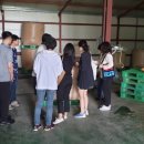 마니산친환경영농조합 이미지